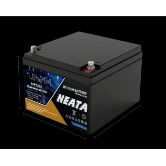 N-LFP1224 12,8V 24AH 4000 CICLOS - 1