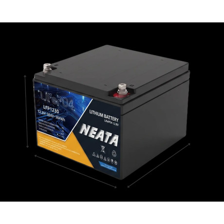 N-LFP1230 12,8V 30AH 4000 CICLOS - 1